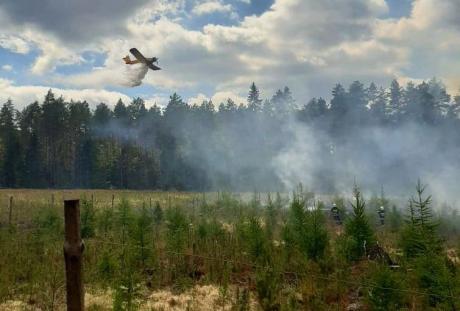 Pożary to zagrożenie dla lasu i turystów