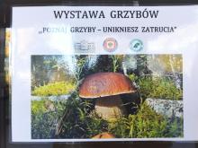 Wystawy grzybów w Kozienicach, Szydłowcu i Zwoleniu